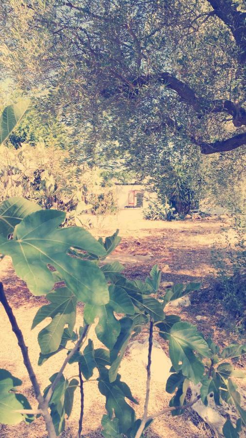 Trullo Riccardo Βίλα Ostuni Εξωτερικό φωτογραφία