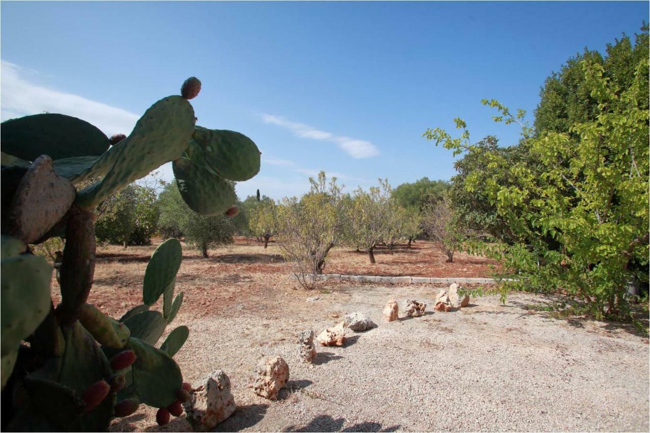 Trullo Riccardo Βίλα Ostuni Εξωτερικό φωτογραφία